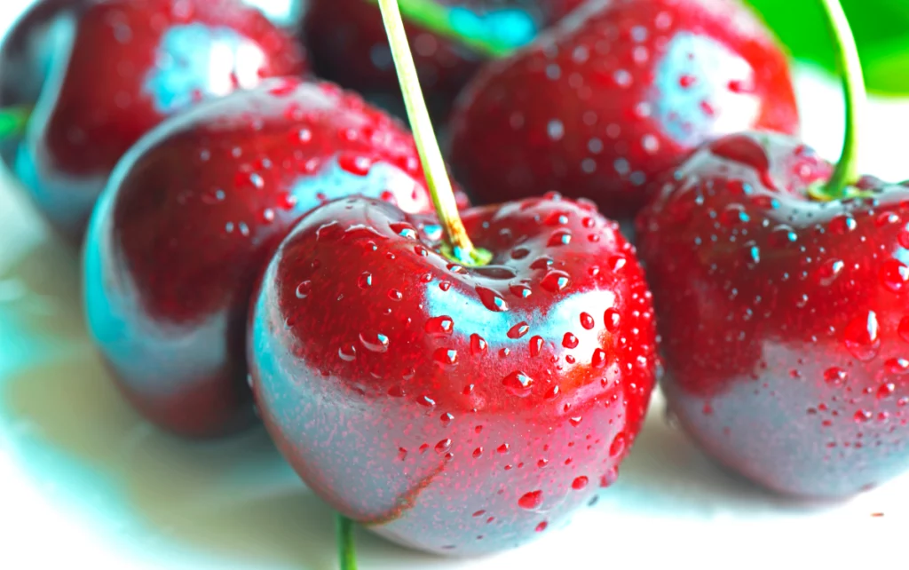 Close-up of a collection of cherries covered in water droplets.