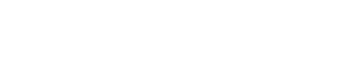 FFI Logo