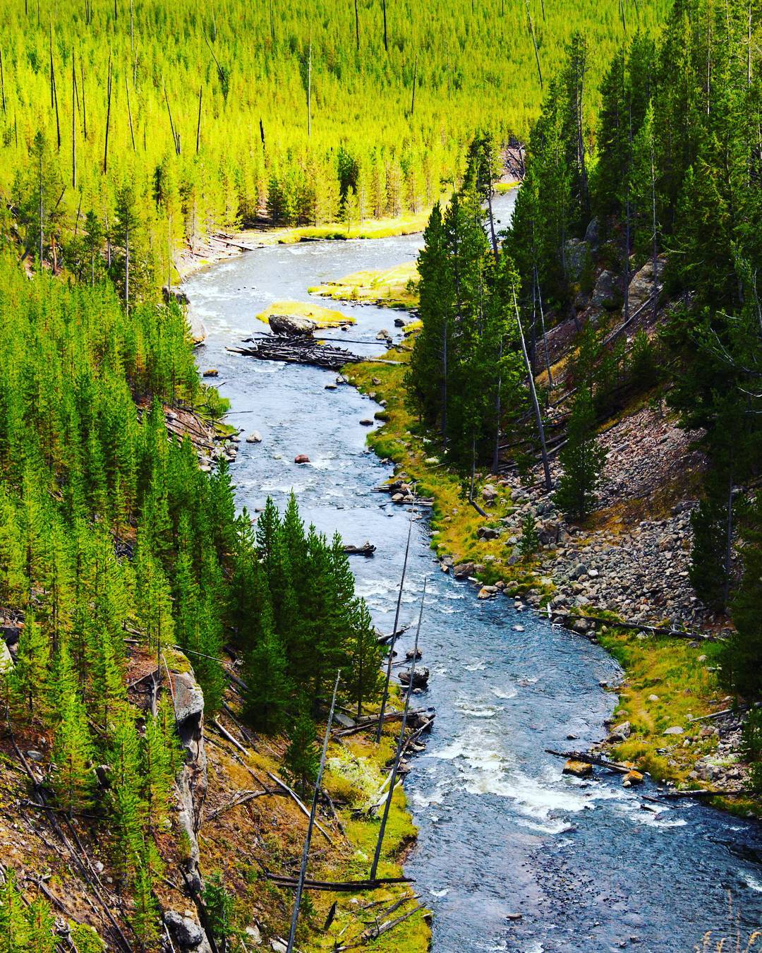 Yellowstone National Park, Wyoming